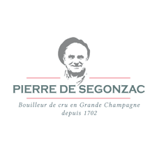 Pierre de Segonzac